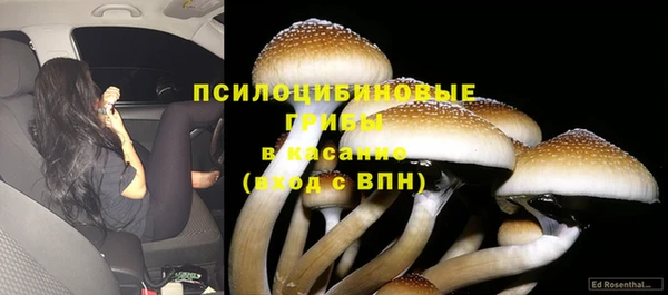 хмурый Бронницы