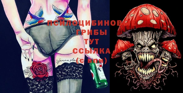 мдпв Бугульма