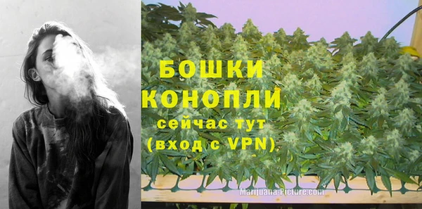 мдпв Бугульма